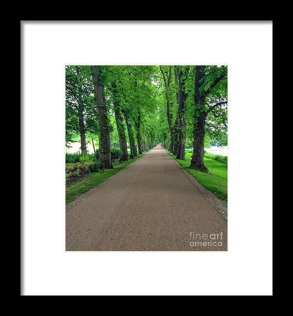 Lime Trees Framed Print featuring the photograph Summer At The Avenue of Limes 2 by Joan-Violet Stretch