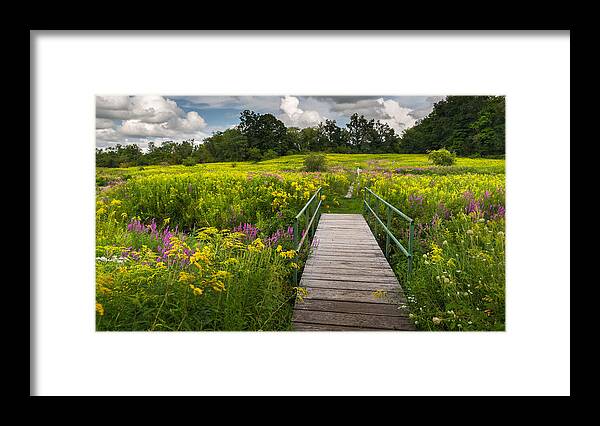 Wildflowers Framed Print featuring the photograph Summer Field of Wildflowers by Bill Wakeley