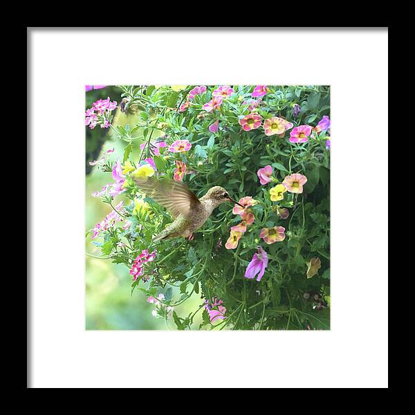 Hummingbird Framed Print featuring the photograph Summer Flowers by Angie Vogel
