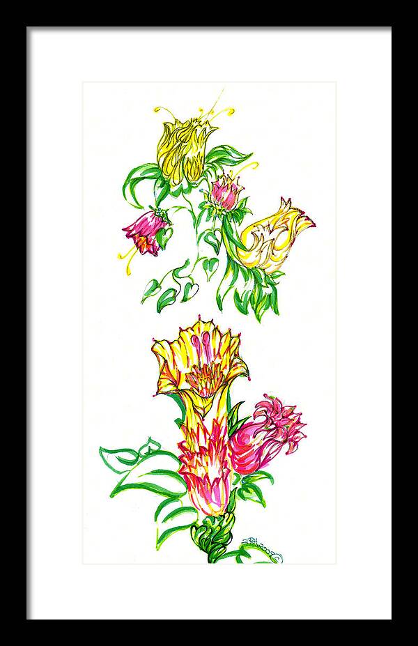 Garden Of Eden Collection Framed Print featuring the drawing Summer Flowers by Judith Herbert