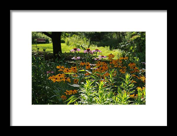 Canvas Print Framed Print featuring the photograph Summer Garden by Yvonne Wright