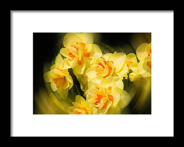 Flower Framed Print featuring the photograph Summer Magic by Milena Ilieva