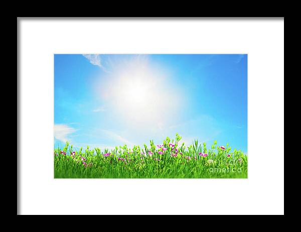 Grass Framed Print featuring the photograph Summer meadow flowers in green grass, sunny blue sky by Michal Bednarek