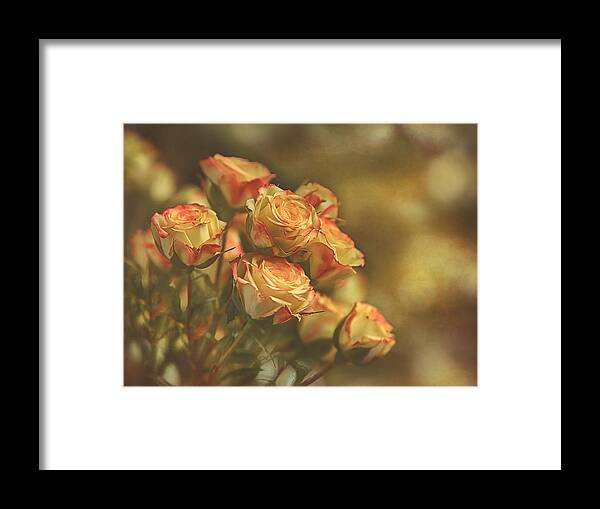 Roses Framed Print featuring the photograph Summer Roses #2 by Pat Abbott