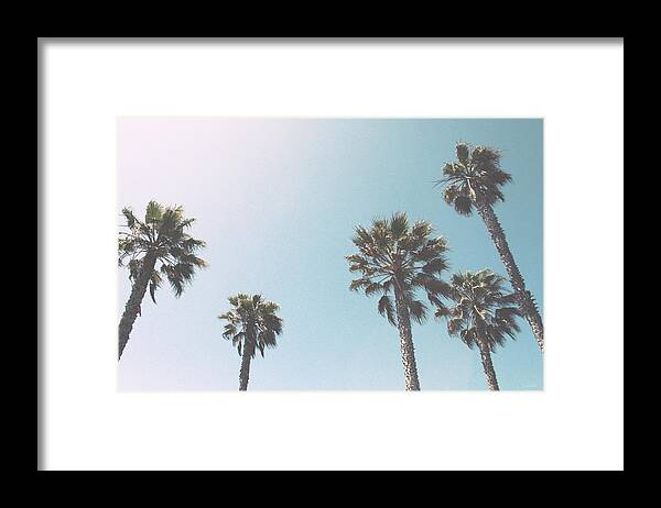 Palm Trees Framed Print featuring the photograph Summer Sky- by Linda Woods by Linda Woods