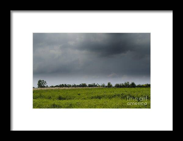 Michelle Meenawong Framed Print featuring the photograph Summer storm by Michelle Meenawong
