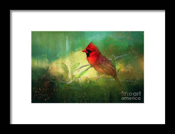 Northern Cardinal Framed Print featuring the photograph Summer Time by Marvin Spates