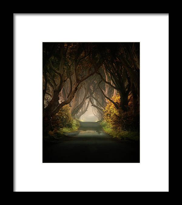 Dark Hedges In Northern Ireland Framed Print featuring the photograph Summer's almost gone by Jaroslaw Blaminsky