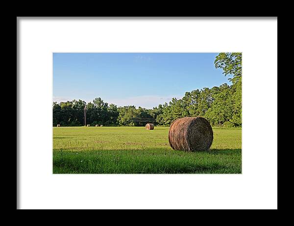 Rural Framed Print featuring the photograph Summer's Bounty by Linda Brown