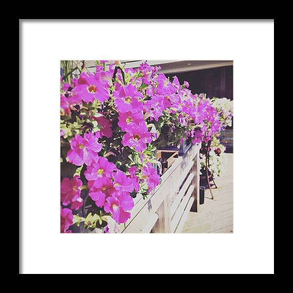  Framed Print featuring the photograph Flora by Addie Kaen