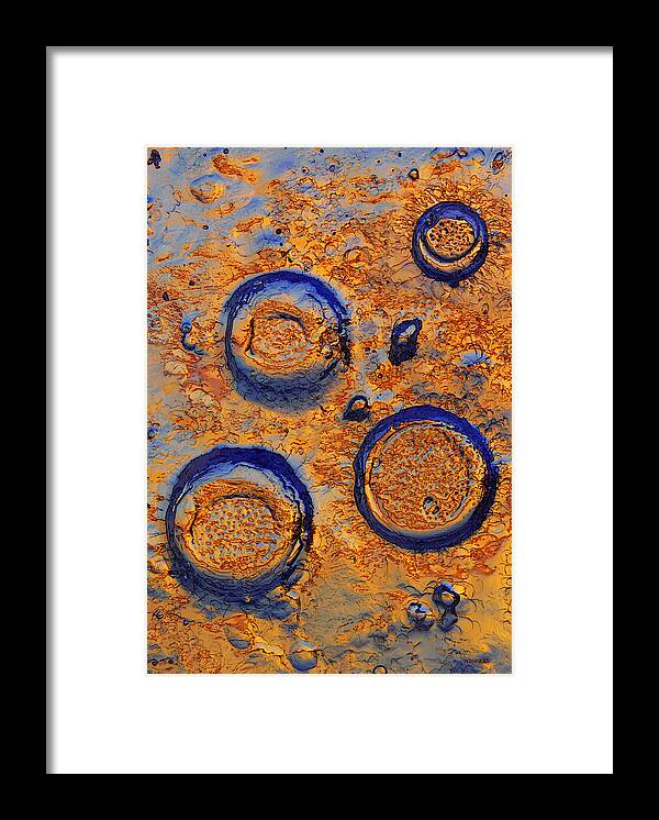 Ice Framed Print featuring the photograph Sun Catchers by Sami Tiainen