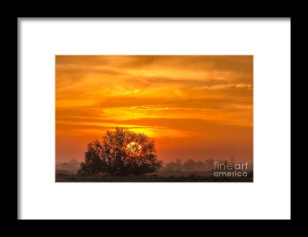 Agriculture Framed Print featuring the photograph Sun Fire by Greg Summers