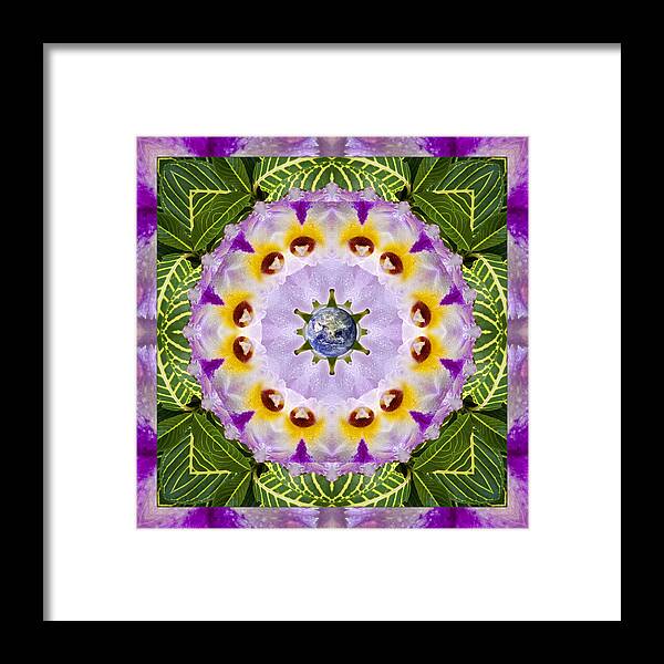 Mandalas Framed Print featuring the photograph Sun Shower by Bell And Todd