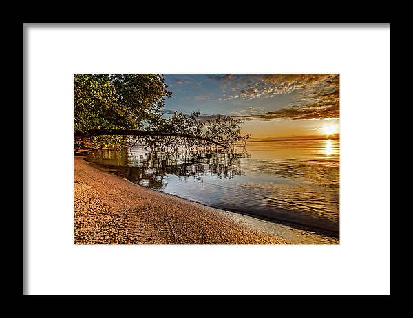 Higgins Lake Framed Print featuring the photograph Sunday Sunrise by Joe Holley
