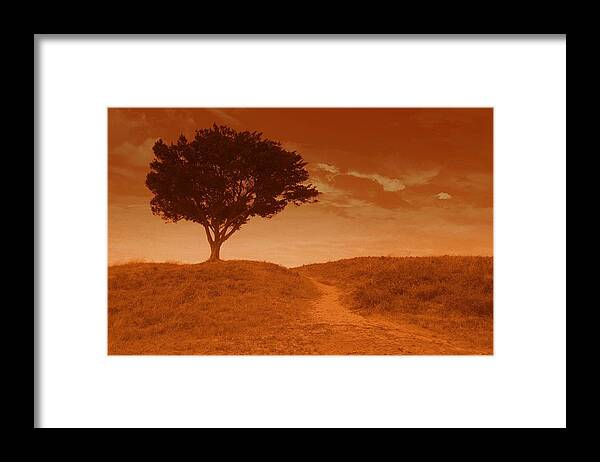 Landscape Framed Print featuring the photograph Sundown Alone by Julie Lueders 