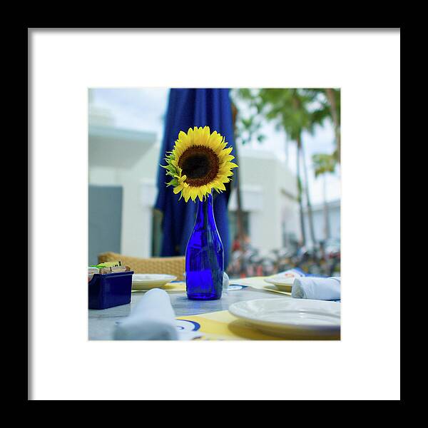 Flower Framed Print featuring the photograph Sunflower by Ferry Zievinger