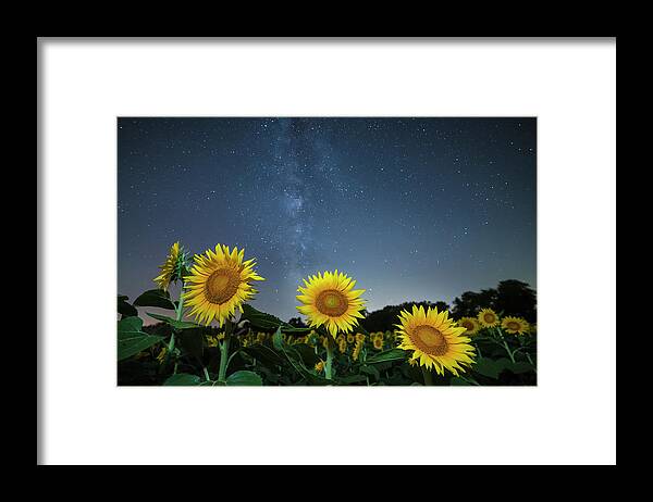 Ryan Heffron Framed Print featuring the photograph Sunflower Galaxy v by Ryan Heffron