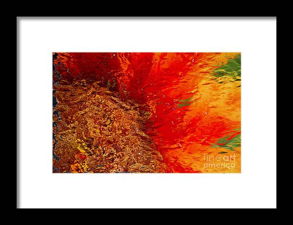 Sunflower Framed Print featuring the photograph Sunflower Impressions by Jeanette French