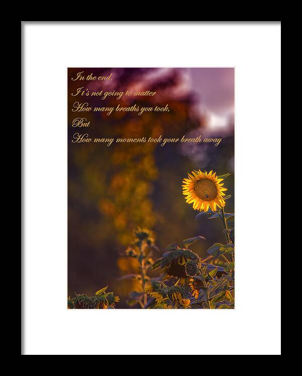 Life Framed Print featuring the photograph Sunflower Moments by Bill and Linda Tiepelman