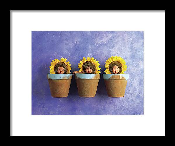 Sunflower Framed Print featuring the photograph Sunflower Pots by Anne Geddes