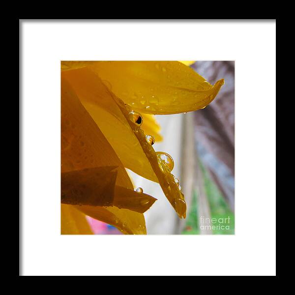 Adrian-deleon Framed Print featuring the photograph SunFlower Series II by Adrian De Leon Art and Photography