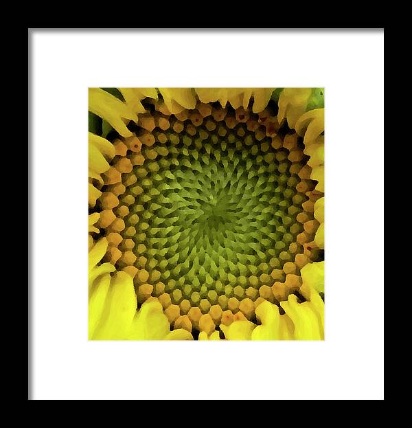 Sunflower Framed Print featuring the photograph Sunflower Spiral by ShaddowCat Arts - Sherry
