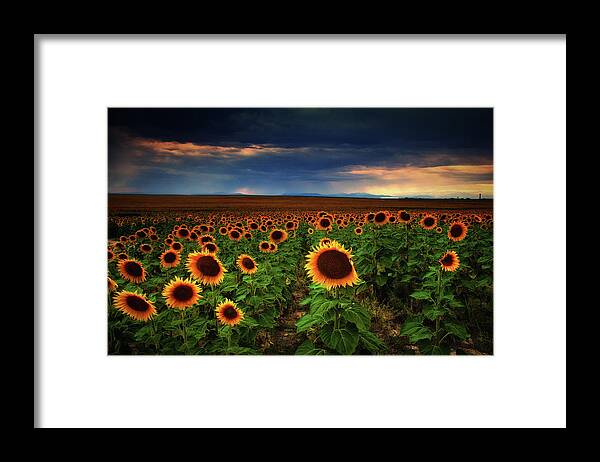 Colorado Framed Print featuring the photograph Sunflower Storms by John De Bord