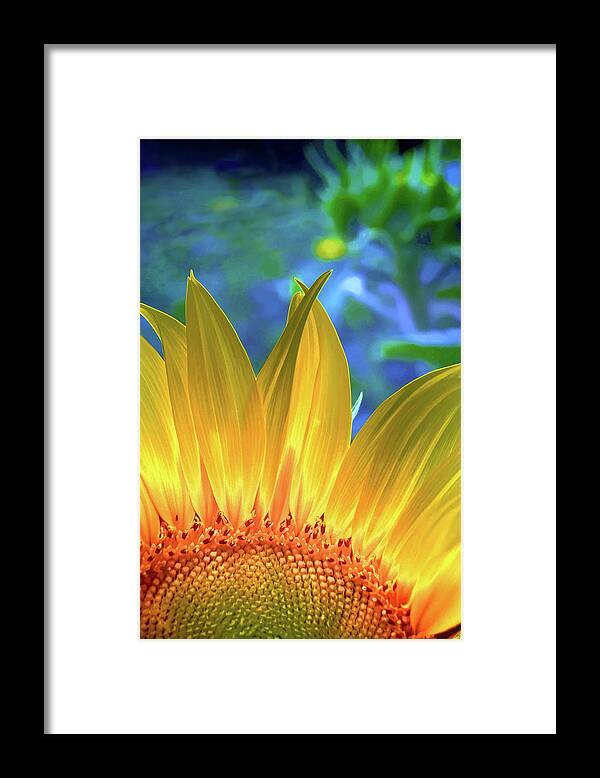 Flower Framed Print featuring the digital art Sunflower Sunshine by Pennie McCracken