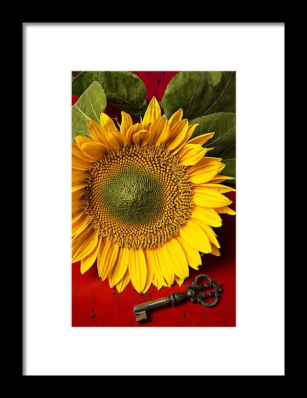 Sunflower Framed Print featuring the photograph Sunflower with old key by Garry Gay