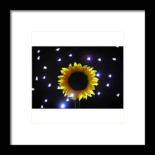 Sooc Framed Print featuring the photograph #sunflowers & #stars Series

#flower by Andrew Nourse