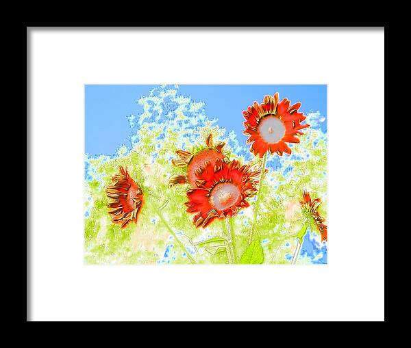 #gorgeous #blue #summer #south #georgia #skies #skyscraper #sunflowers #blooming #watercolor Framed Print featuring the photograph SunFlowers in Autumn by Belinda Lee