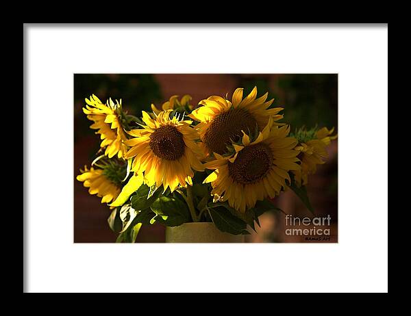 Sunflowers Framed Print featuring the photograph Sunflowers in a vase by Amalia Suruceanu