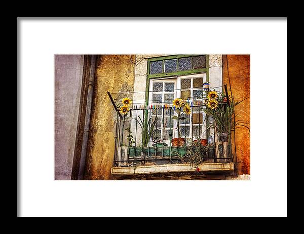 Lisbon Framed Print featuring the photograph Sunflowers in The City by Carol Japp