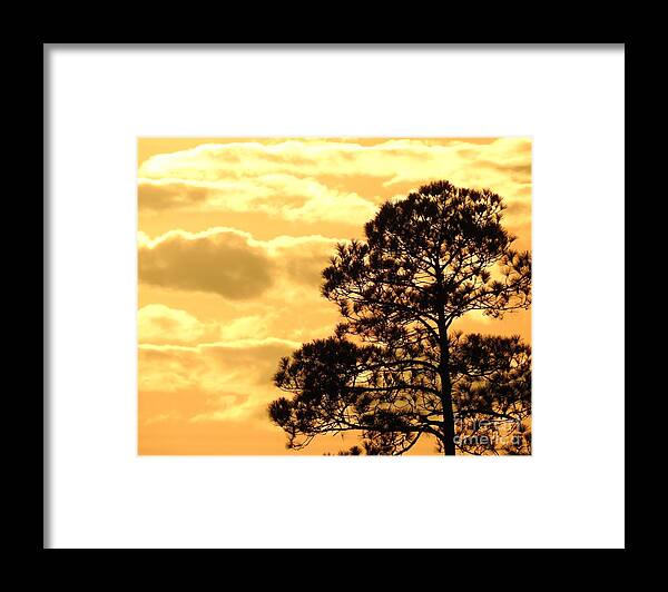 Sun Framed Print featuring the digital art Sunglow Pine by Jan Gelders