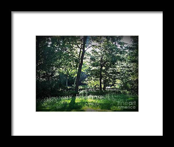 Sunlight Framed Print featuring the photograph Sunlight Through Trees and Fence by Frank J Casella