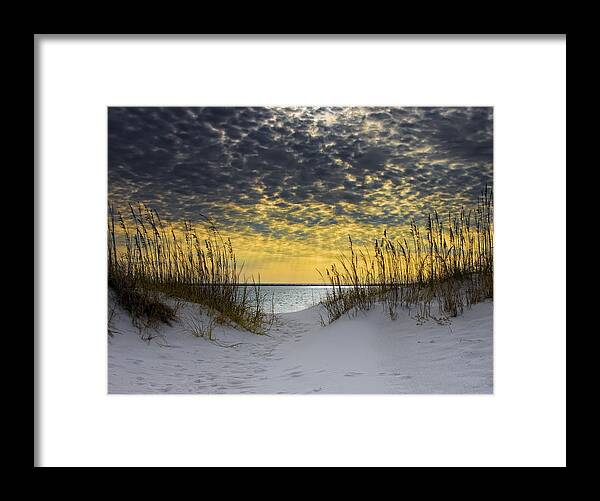 Coast Framed Print featuring the photograph Sunlit Passage by Janet Fikar