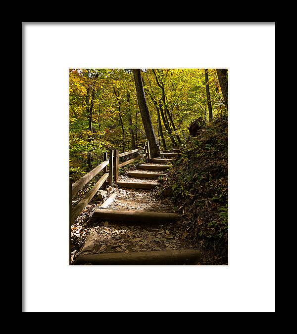 Crabtree Falls Framed Print featuring the photograph Sunlit Trail by Lori Coleman