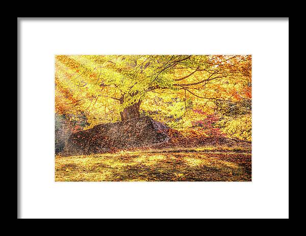 Salem Massachusetts Framed Print featuring the photograph Sunny Afternoon on Autumn Hill by Jeff Folger