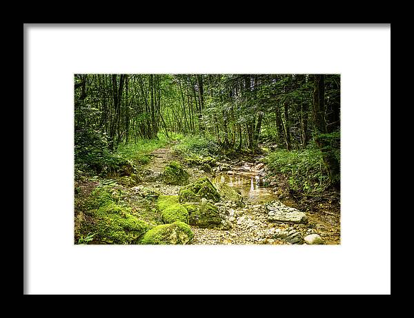River Framed Print featuring the photograph Sunny afternoon under the trees - 3 by Paul MAURICE