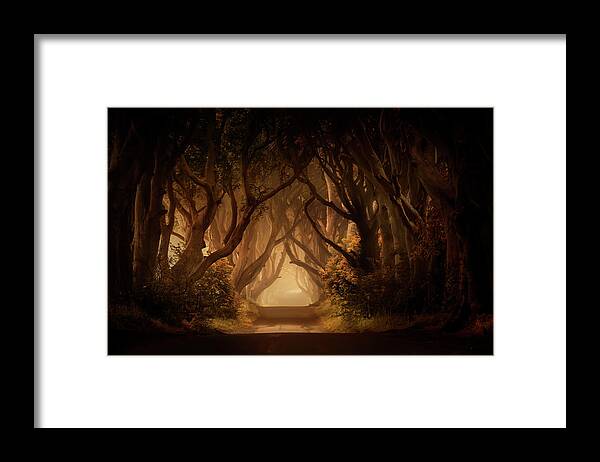 Dark Hedges In Northern Ireland Framed Print featuring the photograph Sunny morning in Dark Hedges by Jaroslaw Blaminsky