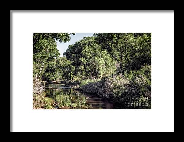 Arizona Framed Print featuring the photograph Sunny Morning On San Pedro 2 by Al Andersen