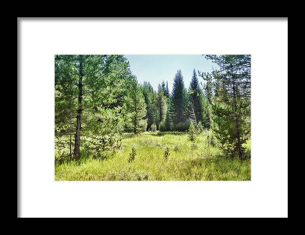 Meadow Framed Print featuring the photograph Sunny Mountain Meadow - landscape photograph by Ann Powell