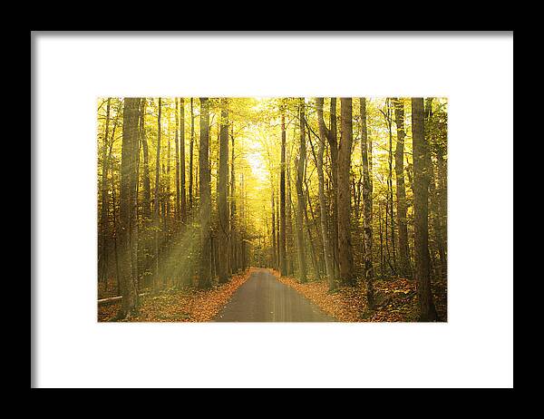 Tennessee Framed Print featuring the photograph Sunny Roaring Fork Road by Jonas Wingfield