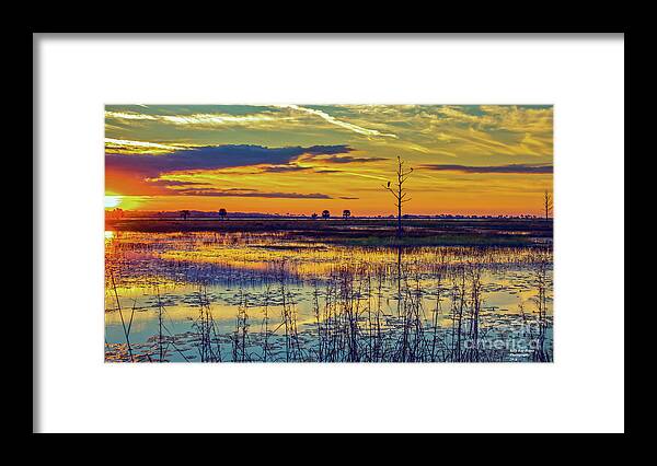 Bird Framed Print featuring the photograph Sunrise at a Wildlife Paradise by DB Hayes