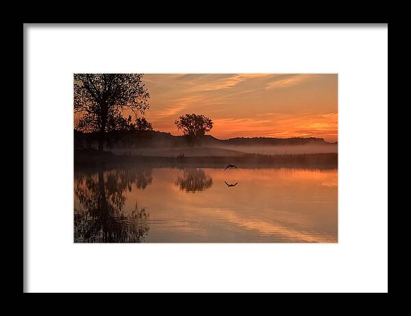 Sunrise Framed Print featuring the photograph Sunrise Goose by Fiskr Larsen