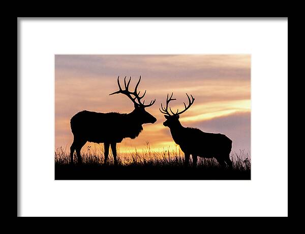 Jay Stockhaus Framed Print featuring the photograph Sunrise by Jay Stockhaus