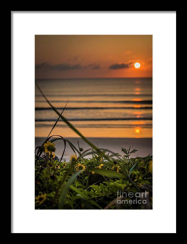Flagler Beach Framed Print featuring the photograph Sunrise on a beach by Agnes Caruso