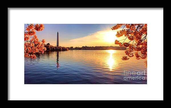 Tidal Framed Print featuring the photograph Sunrise on the Tidal Basin by Olivier Le Queinec