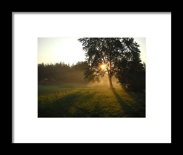 Fog Framed Print featuring the photograph Sunrise Shadows Through Fog by Kent Lorentzen