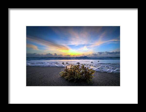 Sunrise Framed Print featuring the photograph Sunrise Shoreline by R Scott Duncan
